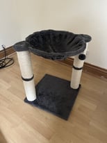 Cat Bed/Scratching Post