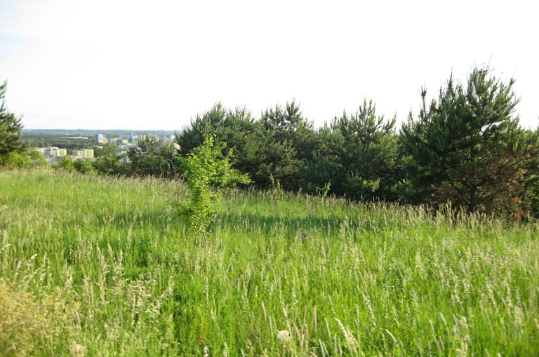 various small plots of land to clear swap for cash 