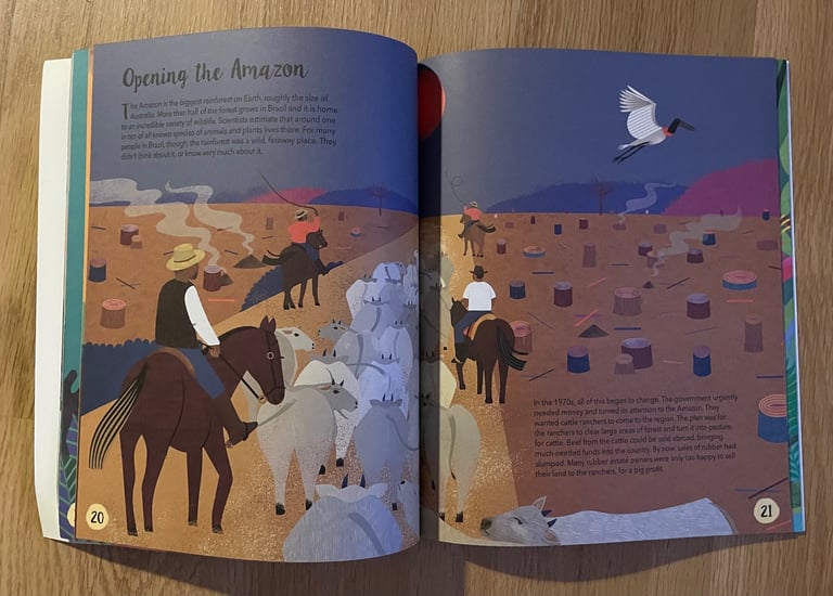 Book bundle for kids 