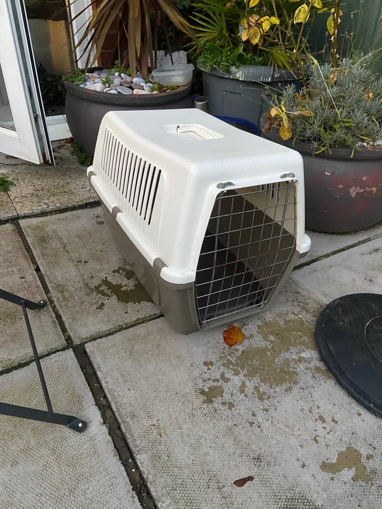 Used, pet carrier