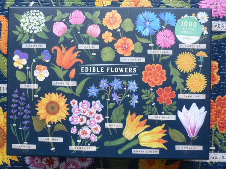1,000 PIECE JIGSAW PUZZLES