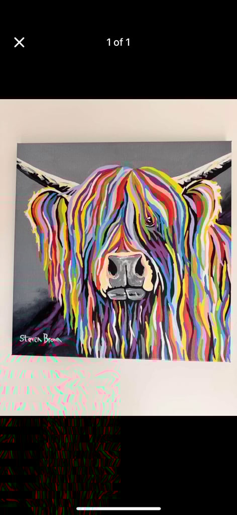 image for Large canvas- Steven Brown 
