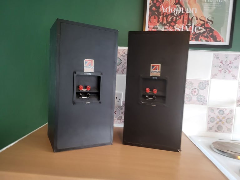 Large tannoy loudspeakers 