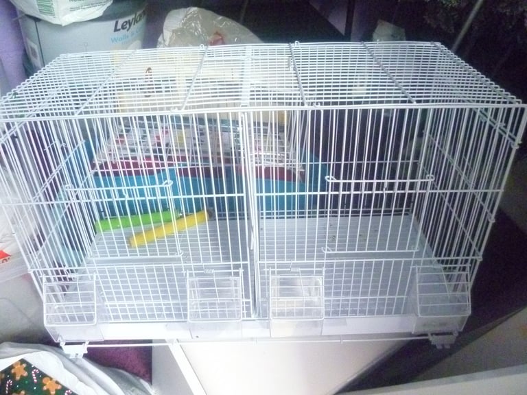 5 Canary Canaries Birds for sale for £140 Yellow, White/Black  Red Pure White Small Cage and Food