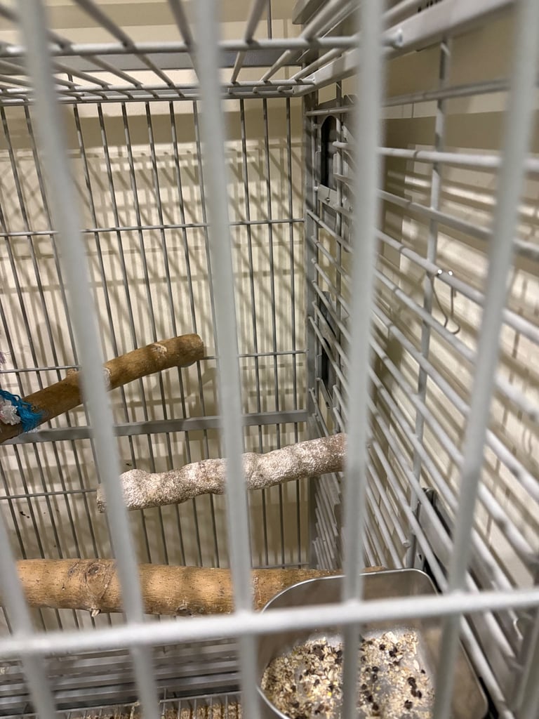 Parrot cage large 