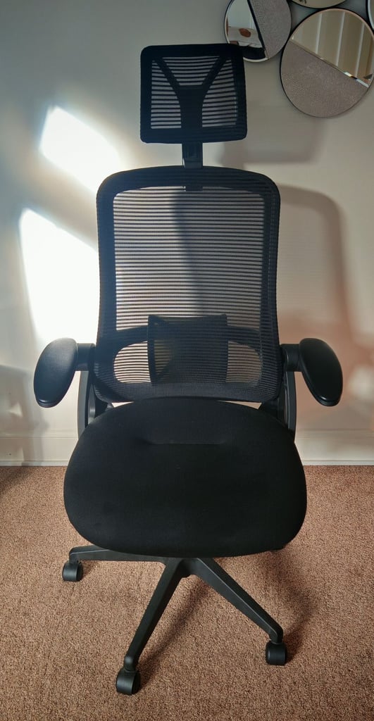 Realm of Thrones CAPTAIN Ergonomic Office Chair 