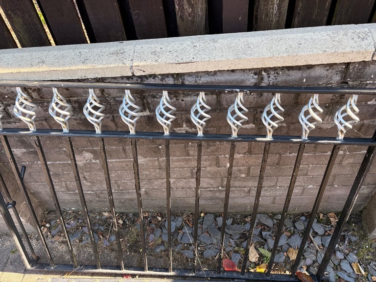 image for Iron gates 