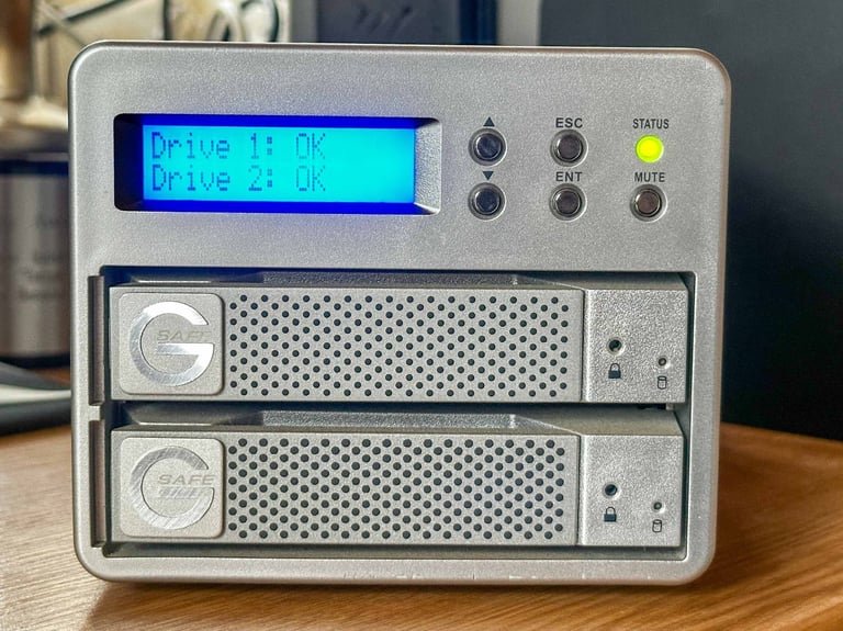 1TB GSAFE Raid 1 hard drive