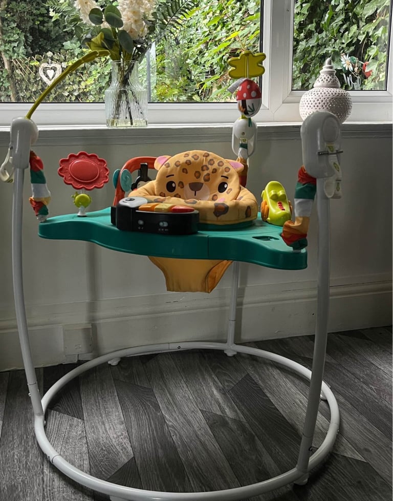 Fisher price baby bouncer 