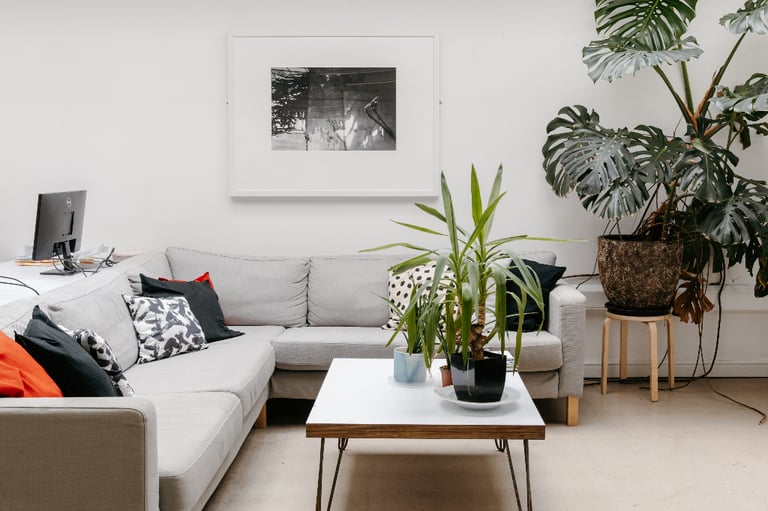Join SHED Today for a Free Month of Desk Space + Refer a Friend for a Second Month Free!