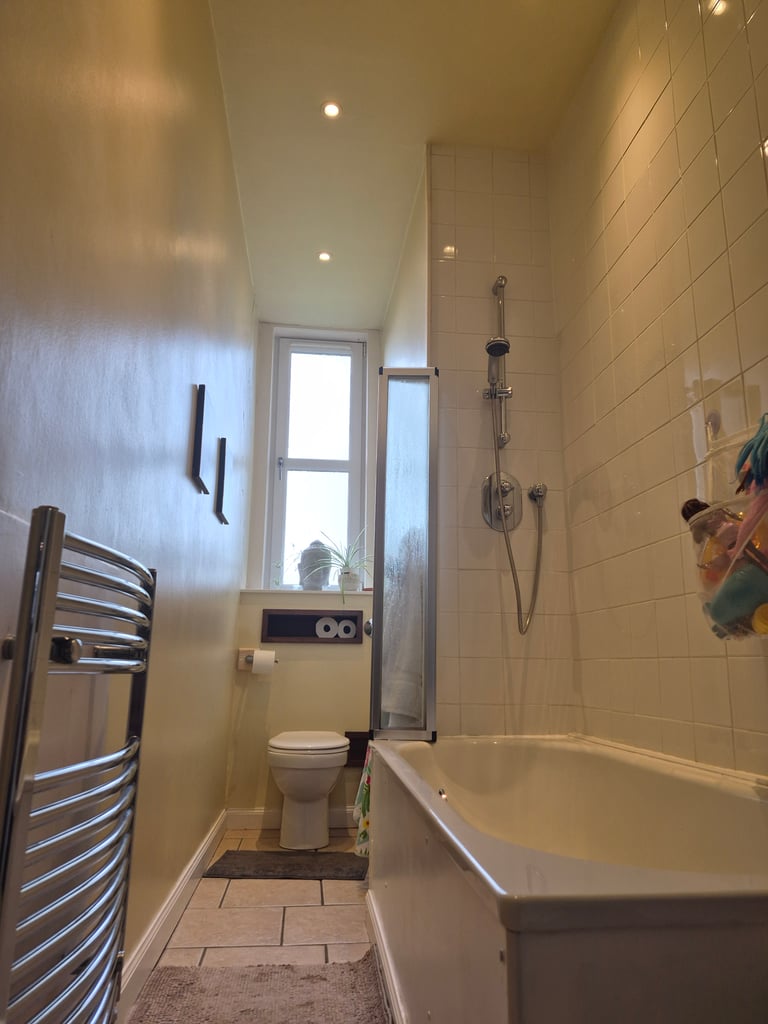 4 bed 2 bath flat with roof terrace to rent