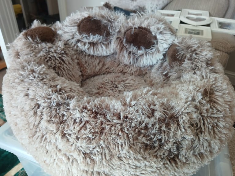Cat basket
