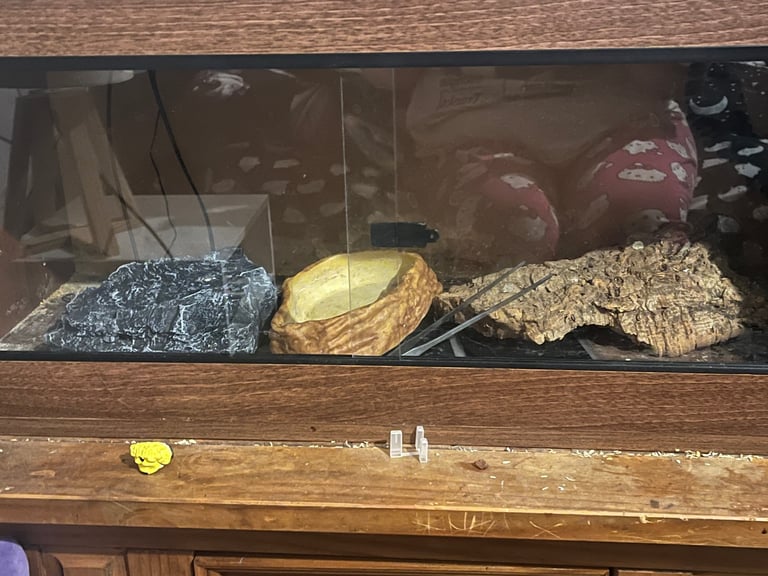 Reptile Vivarium
