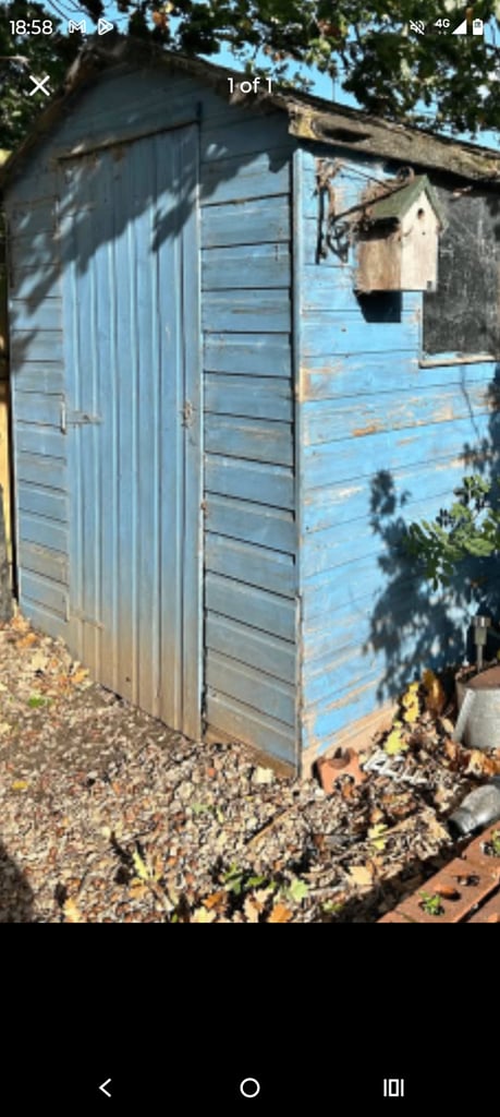 image for 6x8 shed