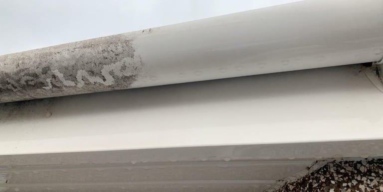 Professional PVC & Gutter Cleaning