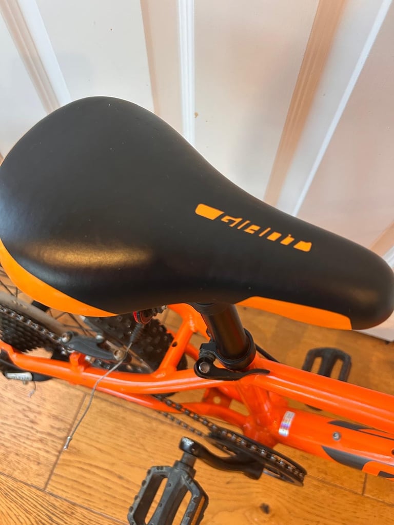 Kids Giant ARX 20” Orange Bike