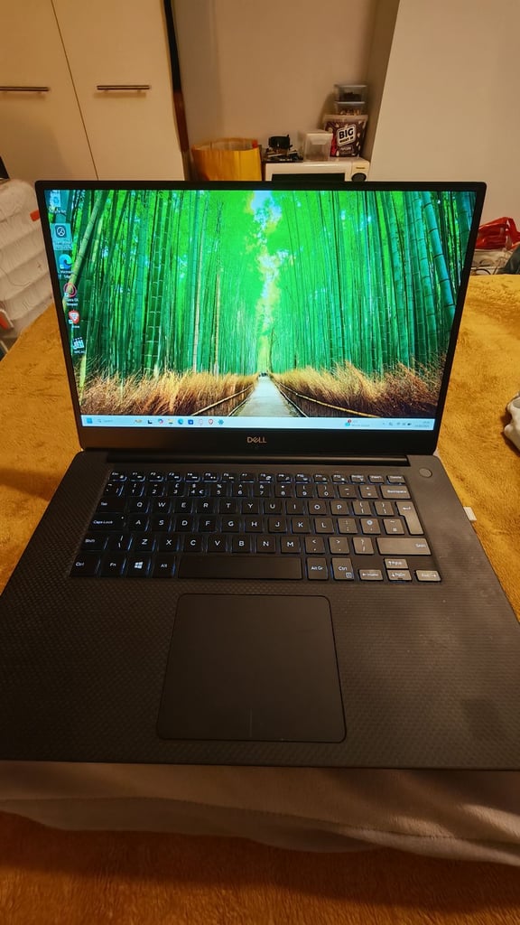 Dell XPS 15 laptop 