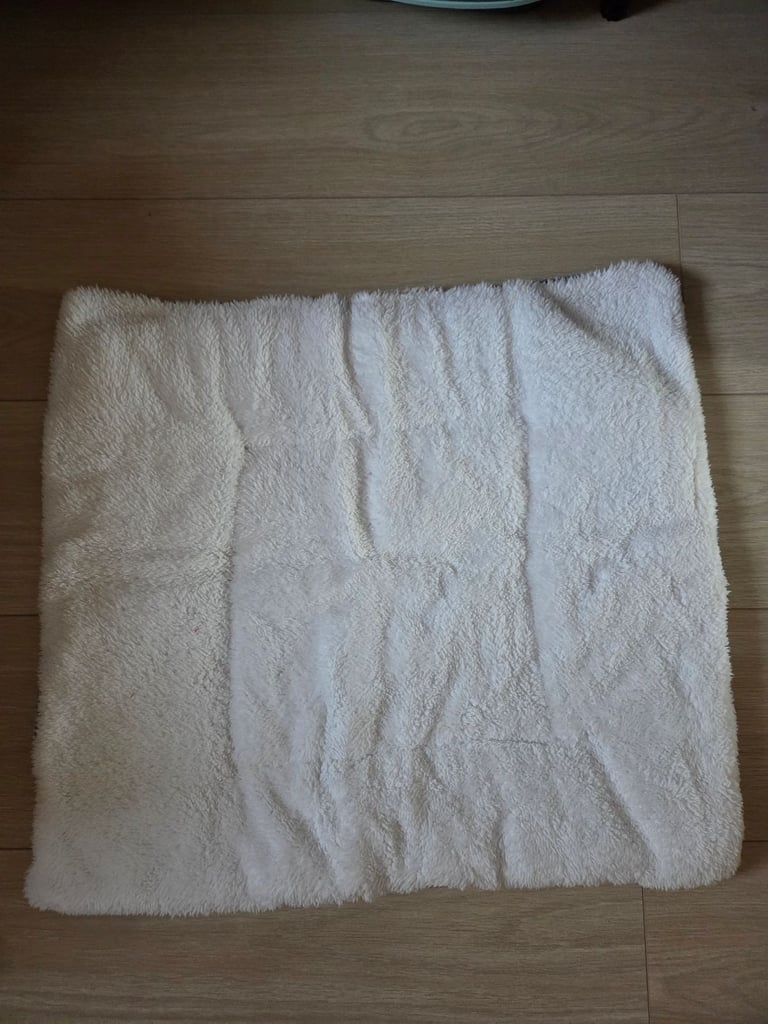 Dog mat
