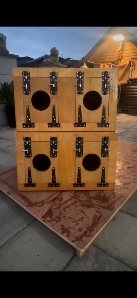 Terrier boxes ( Ferret terrier patterdale Lakeland russles )