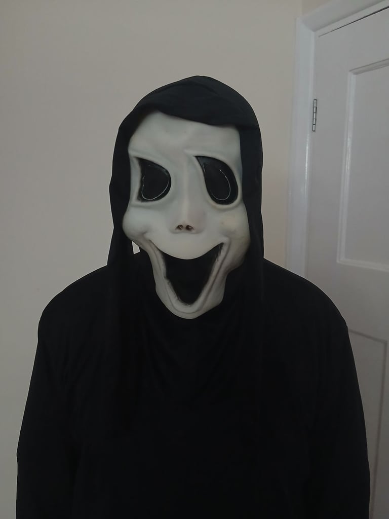 Halloween fancy dress masks