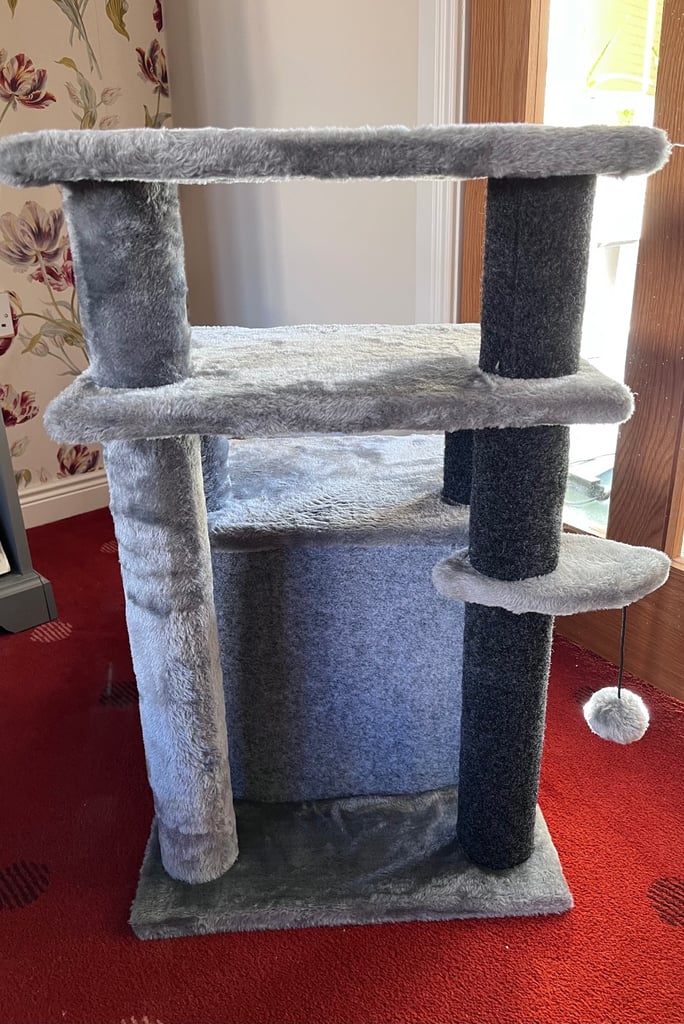 Cat Scratching Play Area 