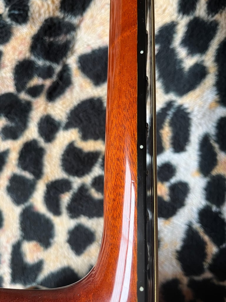 Washburn 12 string guitar D68 SWN