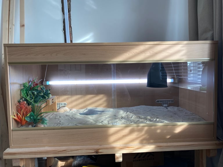 Reptile vivarium 
