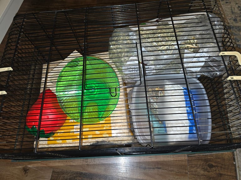 Hamster starter kit