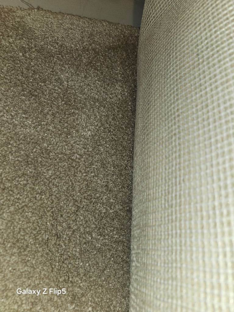 image for Brand new carpet 
