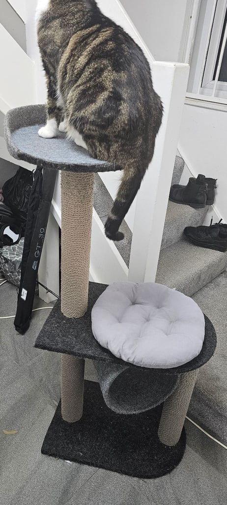Cat Scratch Post