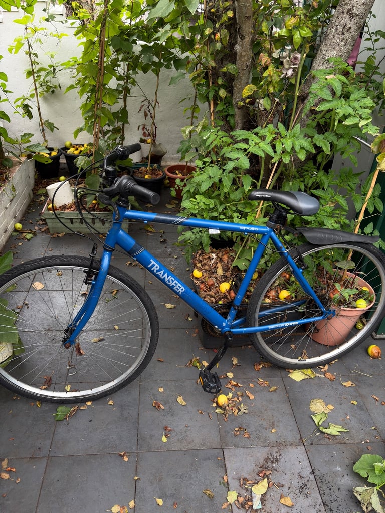 image for Transfer Mountain Bike