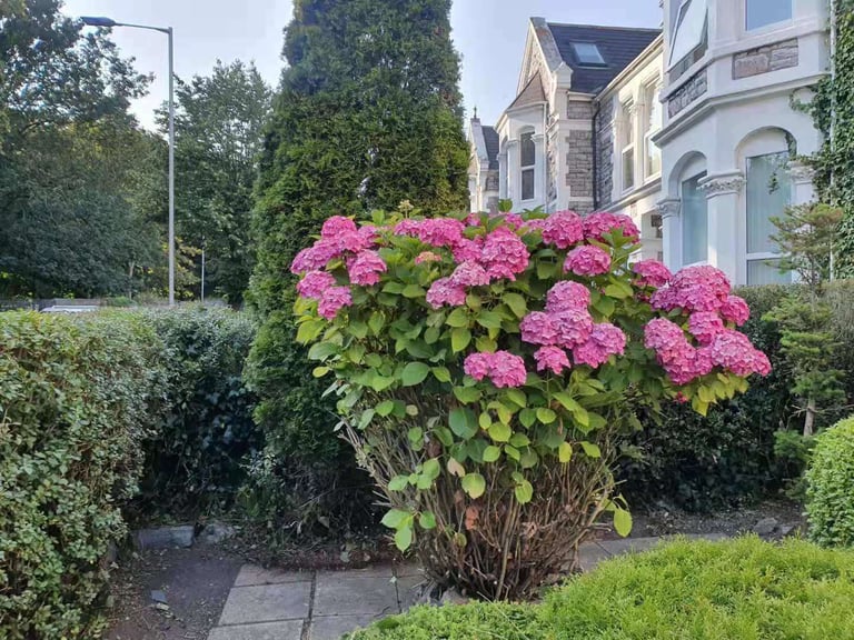 Spacious Double room, Central City, To Rent, Fully Furnished, Bills All Included, PL4