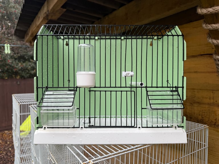 X2 show/carry bird cage