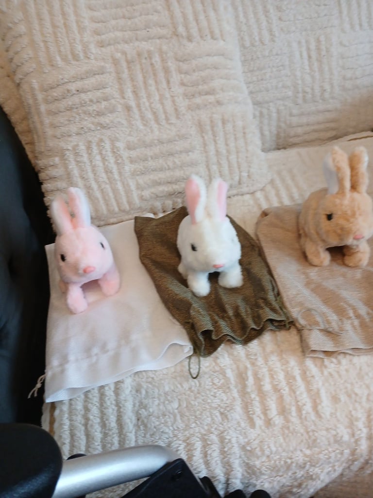 image for mechanical rabbits. 