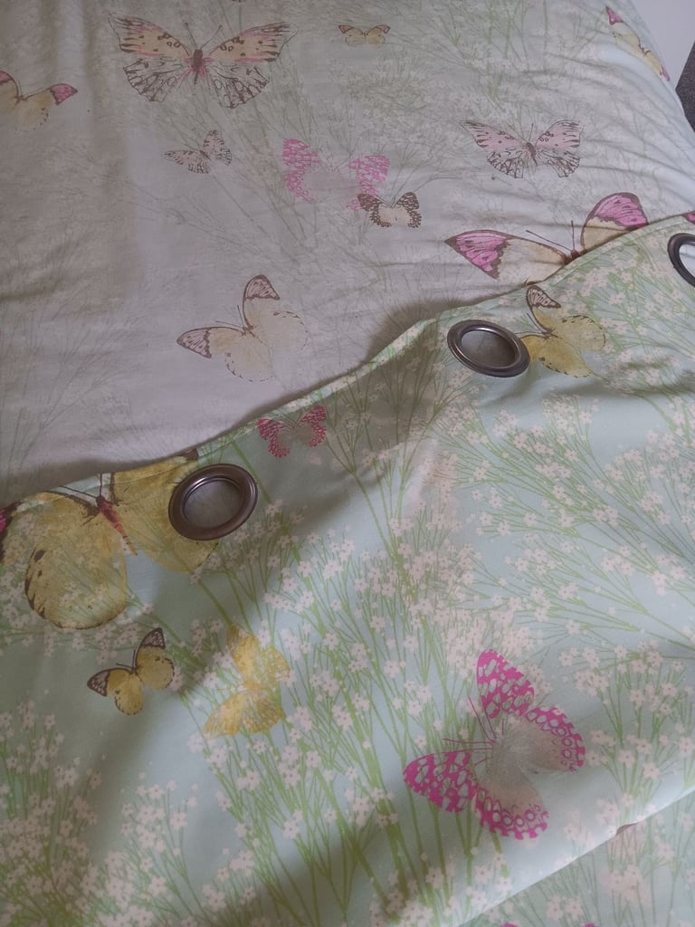 Matching butterfly curtains and single bedding
