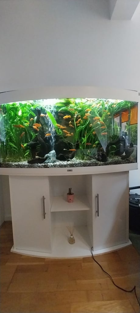Juwel Tropical Fish Tank.