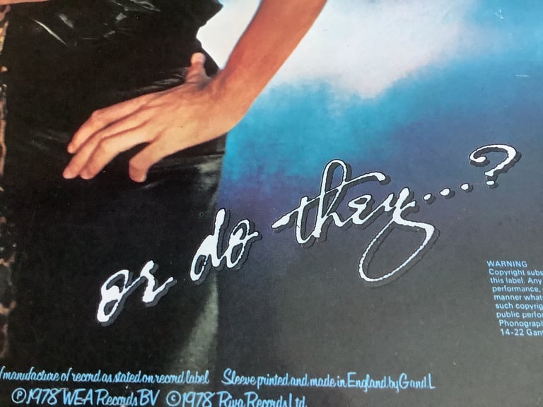 Vinyl Album Rod Stewart Blondes Have More Fun