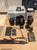 Canon EOS 250D DSLR Camera with 18-55mm lens & EF-S 10-18mm lens (COLL
