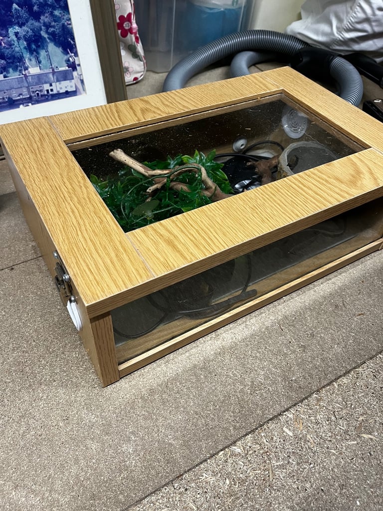 image for Small vivarium 