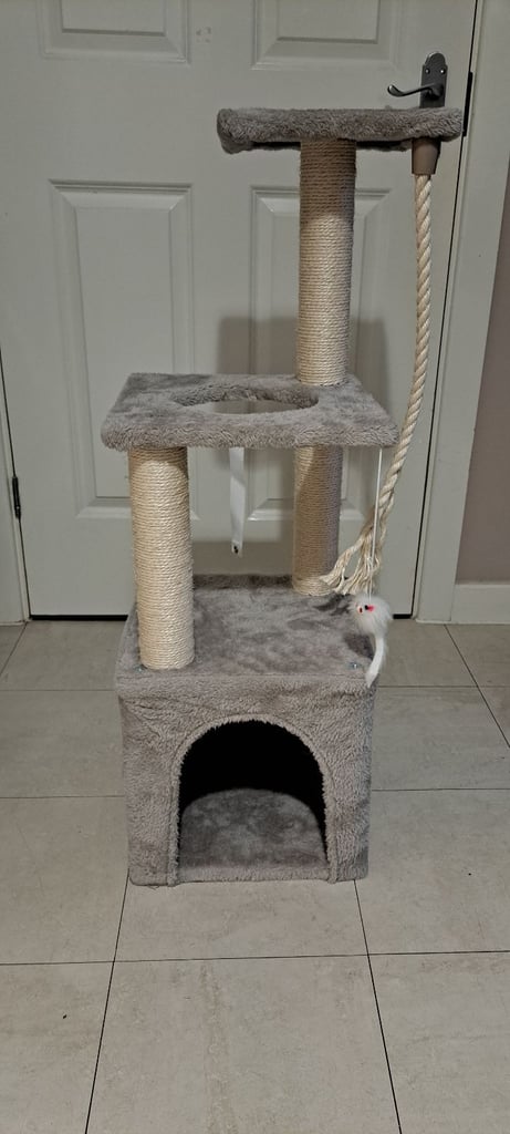 image for Cat scratch post
