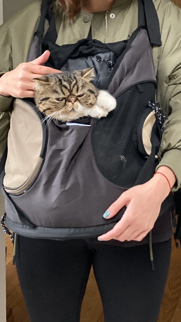 image for Cat Carry bag