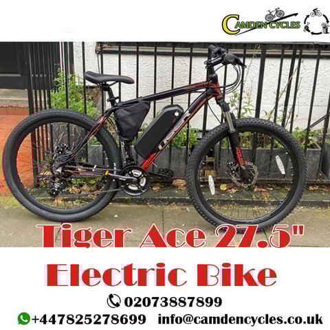 Tiger ace 27.5 new arrivals