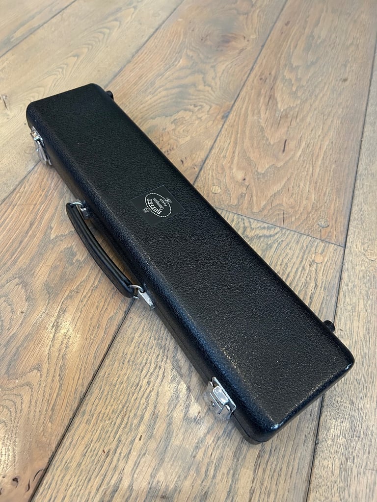 Flute (and hard case)