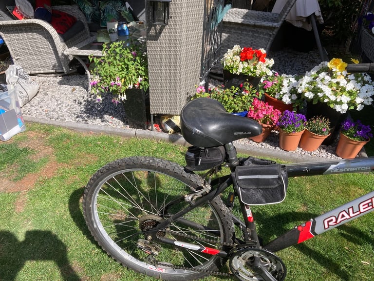 Gents Raleigh bike
