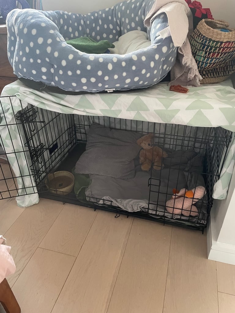 Sturdy foldable metal two door dog crate L