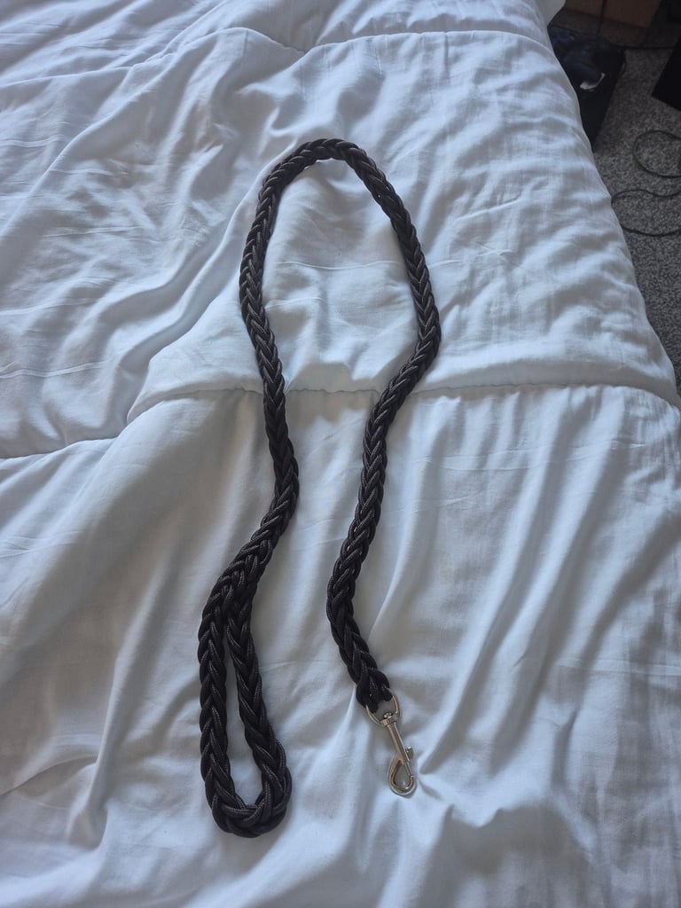 2 dog leads for larger dog 