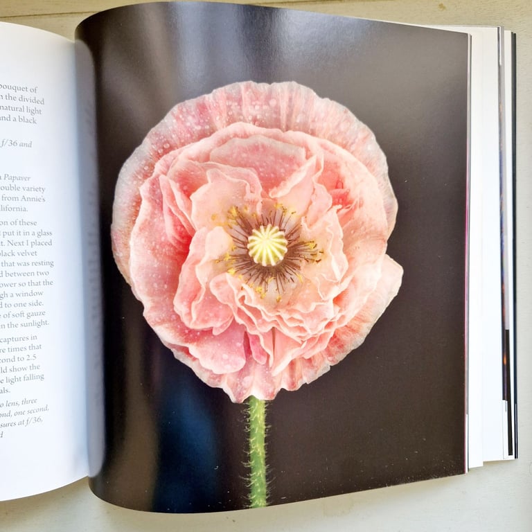 Photographing flowers photography book