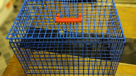 Animal cage carrier for sale
