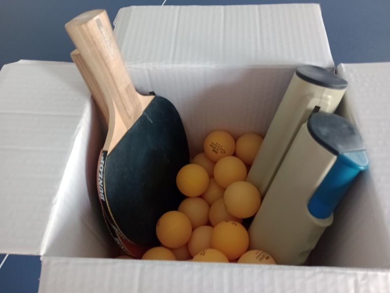 image for Table Tennis Table