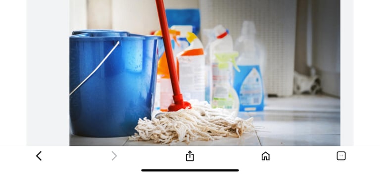 Domestic and office cleaning- east and central london 